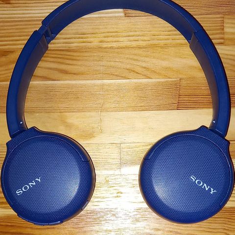 Sony CH-150