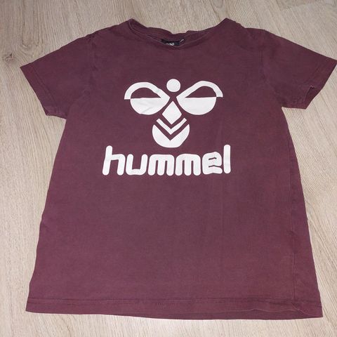 Hummel, 146