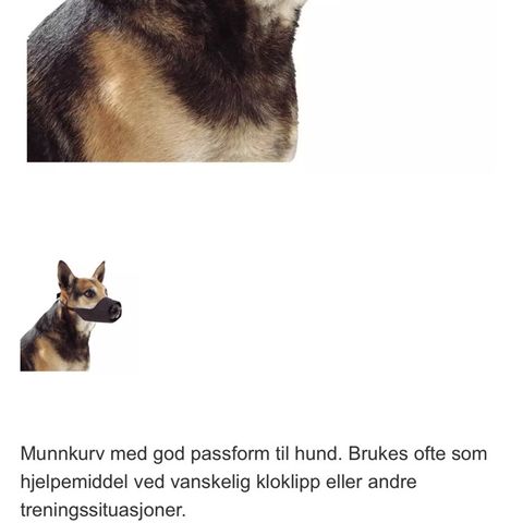 Munnkurv til liten hund