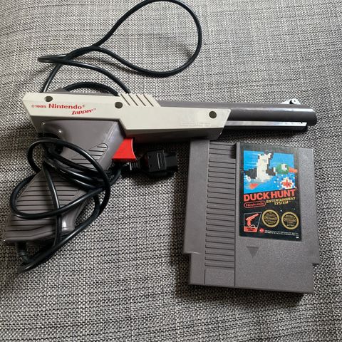 Duck hunt Nintendo