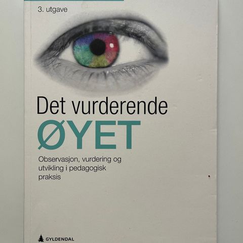 Det vurderende øyet