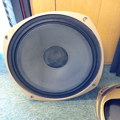 Tannoy 15' Gold elementer og delefilter