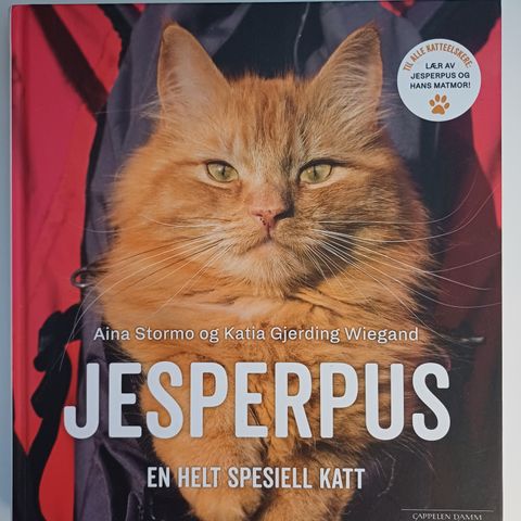 Jesperpus: en helt spesiell katt  :  Aina Stormo