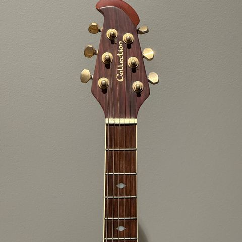 Semi Acoustic Guitar