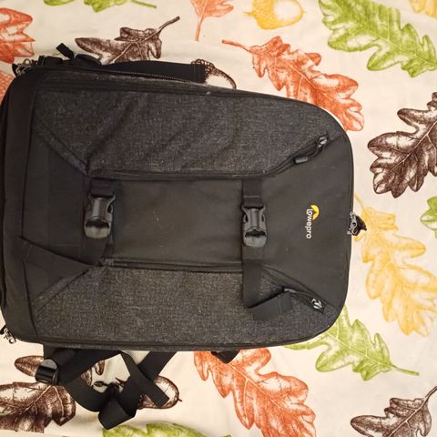 Lowepro Pro Runner BP 450 AW ii