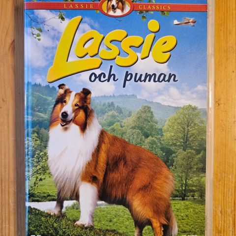 Lassie og pumaen