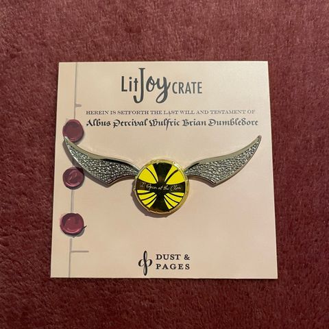 LitJoy Crate Harry Potter pin