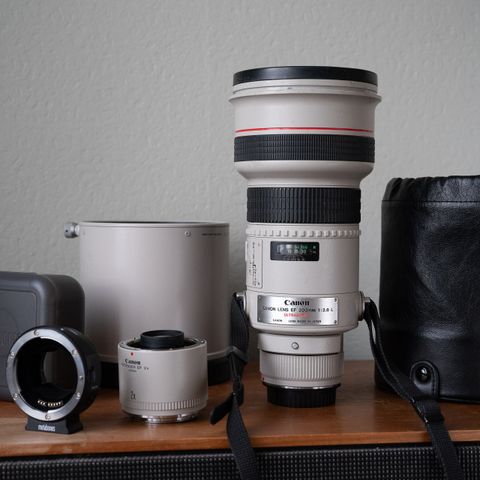 Canon EF 300mm 1:2.8 L + 2X konverter og Metabones til Sony E-mount