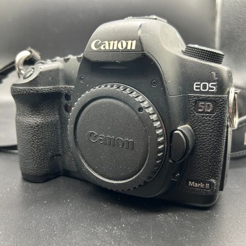 Canon EOS 5D Mark II