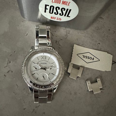 Klokke Fossil
