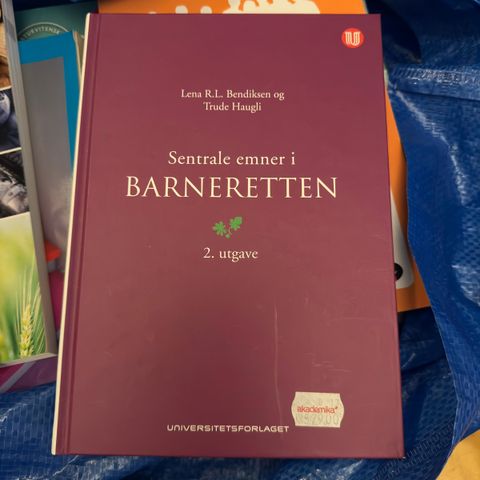 Sentrale emner i barneretten (2. utgave)