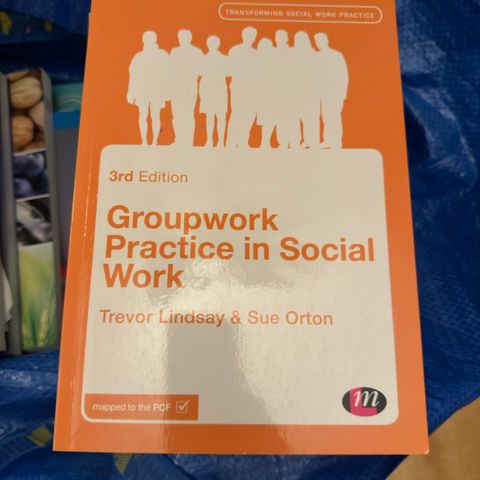 Groupwork Practice in Social Work (3. utgave)