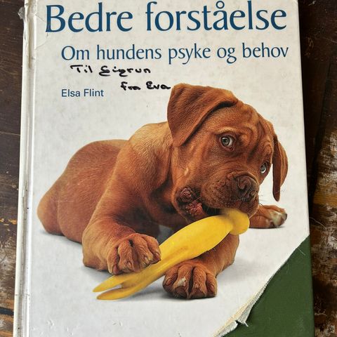 Bedre forståelse - Om hundens psyke og behov