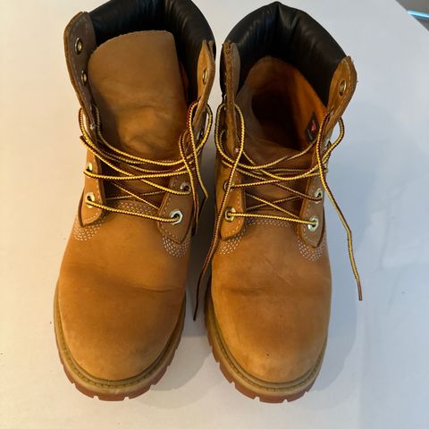 Sko Timberland str 39