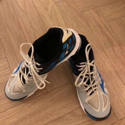 Mizuno håndball sko/hall sko str 40