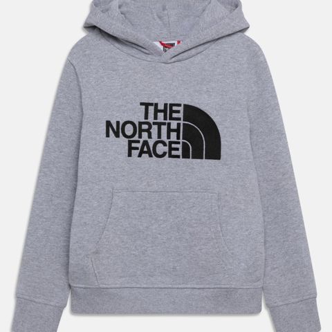 The North Face DREW PEAK HOODIE UNISEX – Hoodie, str 18 år - NY