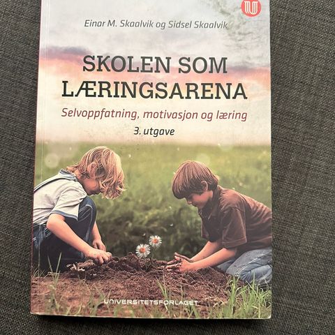 Skolen som læringsarena Einar M. Skaalvik og Sidsel Skaalvik 3. utgave