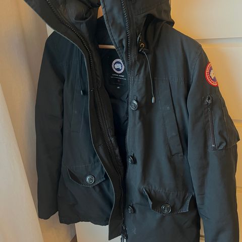 Canada goose - Montebello parka