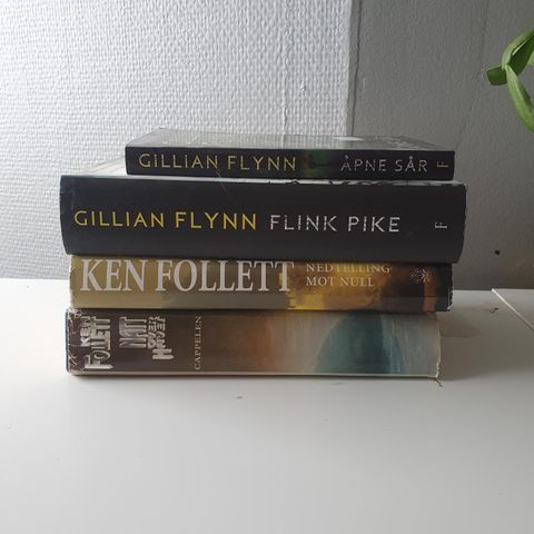 Ken Follett / Gillian Flynn