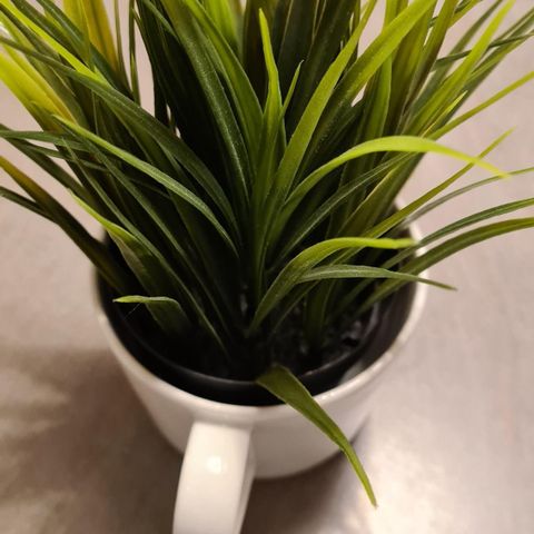 Kunstig plante i kopp (Fejka IKEA)