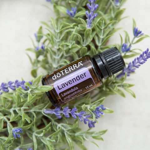 Lavendel eterisk olje fra doTERRA