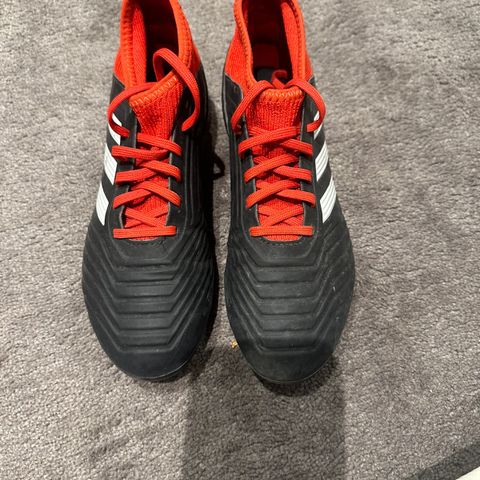 adidas predator 37,5