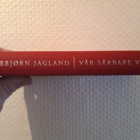 Thorbjørn  Jagland  - Vår sårbare verden