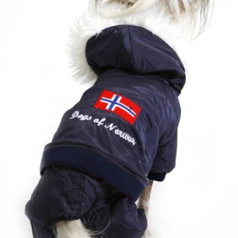 Dogs Of Norway hundedress strl M