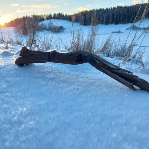 Fin drivveds skulptur