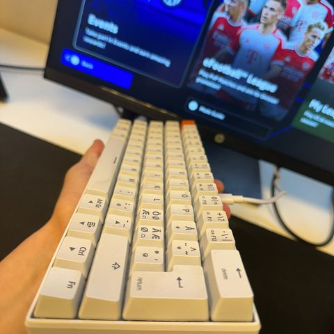 PC Tastatur + mus