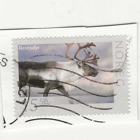 Annonsebilde