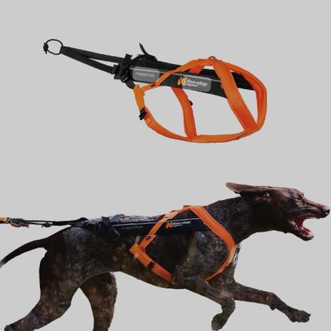 Non-Stop Dogwear Freemotion Harness 5.0, unisex, Black/orange, Single