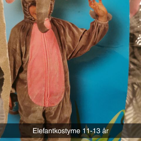 Elefantkostyme 11-13 år