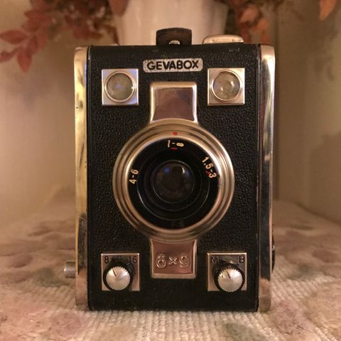 Retro Kamera Geveart Gevabox 6x9