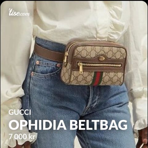 Gucci Ophidia Beltbag