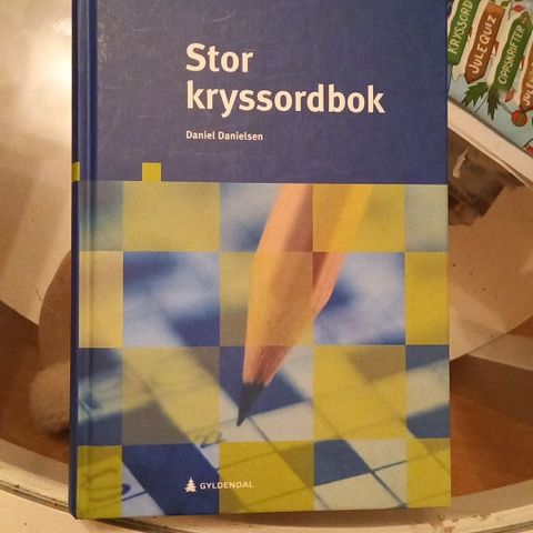 Stor KryssordBok, Daniel Danielsen, 996 Sider, 2021