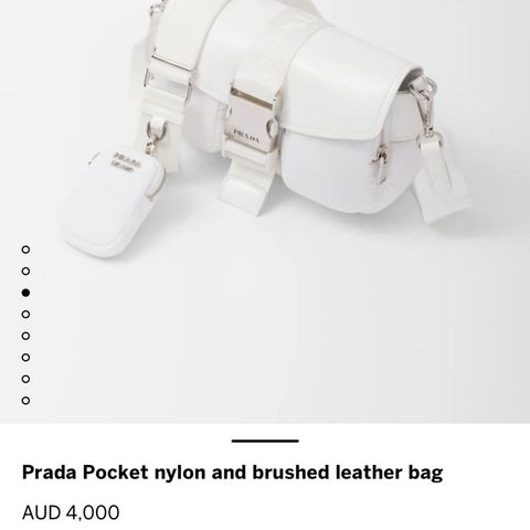 Prada Pocket Bag