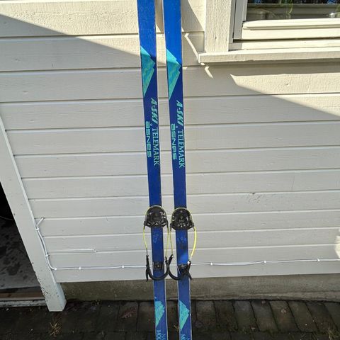 Åsnes A-ski telemark