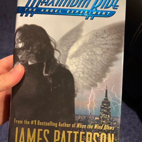 James Patterson: The Angel Experiment