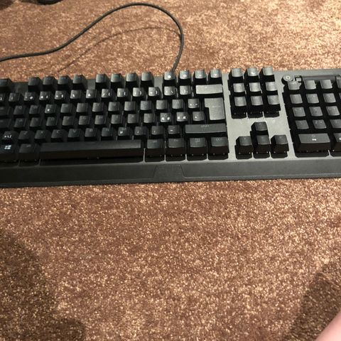 Razer blackwidow gaming tastatur