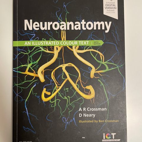 neuroanatomy an illustrated colour text