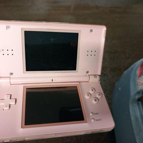 Rosa Nintendo DS