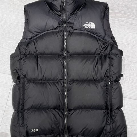 The north face vest