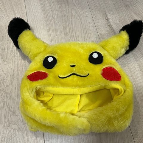 fluffy Pikachu lue