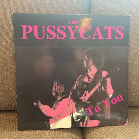 The Pussycats – To You