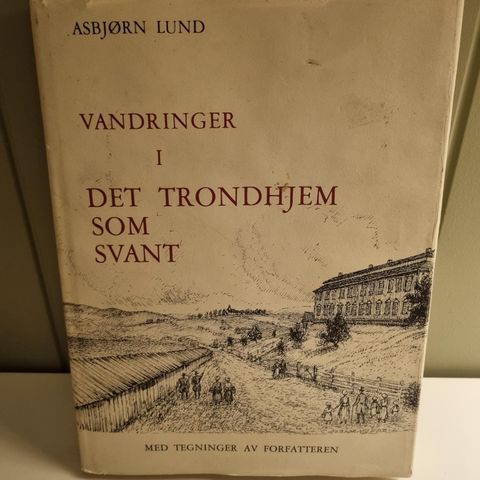 Vandringer i det Trondhjem som svant.  Asbjørn Lund
