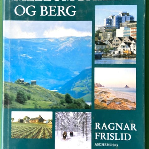 Annonsebilde