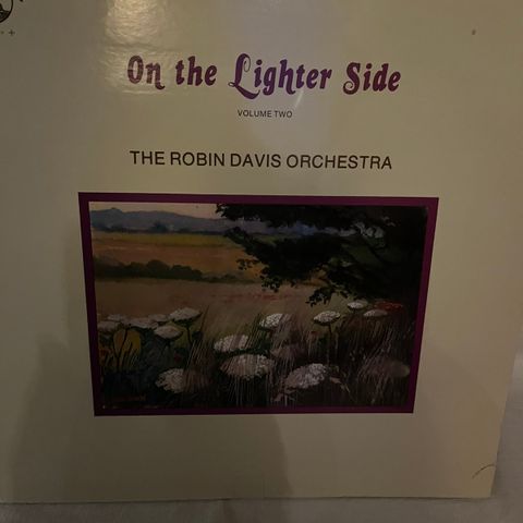 The Robin Davis Orchestra/On The Lighter Side Vol 2