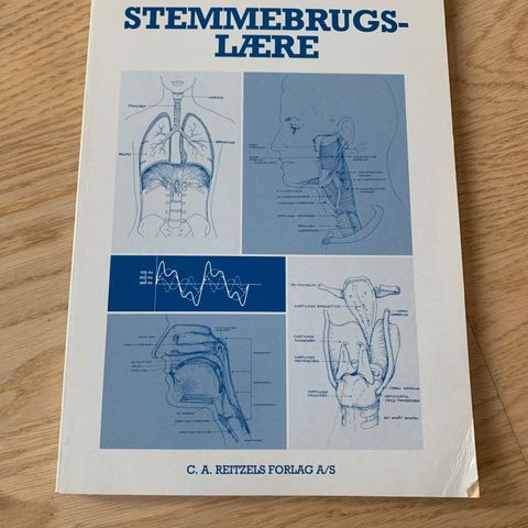 Stemmebrugslære av Lone Rørbech