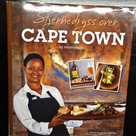 Bok om Cape Town og vindistriktene